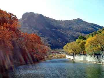 新澳天天开奖资料大全旅游团，叶轮式流量计